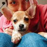 Ersteller:in Anne Profilbild