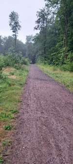 Hundeauslaufgebiet-Zwei größere Wiesen-Bild