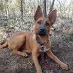 Ersteller:in Britta Profilbild