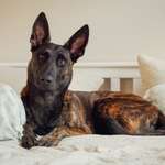 Ersteller:in Julia Profilbild