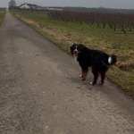 Ersteller:in Schaima Profilbild