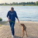 Ersteller:in Marc+Kaddi Profilbild