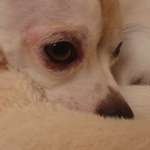 Starker Juckreiz - Bitte dringend um eure Hilfe-Beitrag-Bild