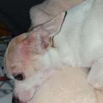 Starker Juckreiz - Bitte dringend um eure Hilfe-Beitrag-Bild