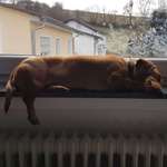 Ersteller:in Johanna Profilbild