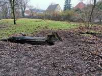 Hundeauslaufgebiet-Bürgerpark Verden-Bild