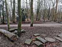 Hundeauslaufgebiet-Bürgerpark Verden-Bild