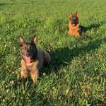 Ersteller:in Lena Profilbild