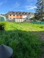 Hundeauslaufgebiet-Hunde Auslauf Nord-Bild