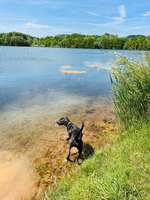 Hundeauslaufgebiet-Kenner Flur-Bild