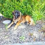 Ersteller:in Josephine Profilbild