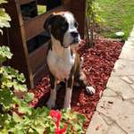 Ersteller:in Yll Profilbild