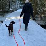 Ersteller:in Adrian & Evelyn Profilbild