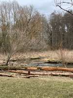 Hundeauslaufgebiet-Paar Ottmaring-Bild