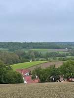 Hundeauslaufgebiet-Obergriesbach Sulzbach-Bild