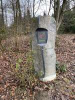 Hundeauslaufgebiet-Obergriesbach Sulzbach-Bild