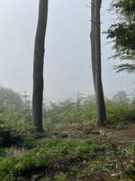 Hundeauslaufgebiet-Obergriesbach Sulzbach-Bild