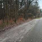 Hundeauslaufgebiet-Holle Sand-Bild