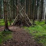 Hundeauslaufgebiet-Holle Sand-Bild