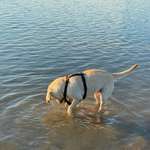 Ersteller:in Jenny Profilbild