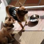 Ersteller:in Karin Profilbild