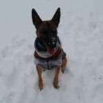 Ersteller:in Engel Profilbild