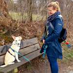 Ersteller:in Diana Profilbild