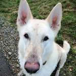 Ersteller:in Tina Profilbild