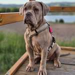 Ersteller:in Jennifer Profilbild