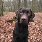 Ersteller:in Ricarda Profilbild