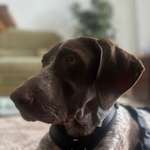 Ersteller:in Emilia Profilbild