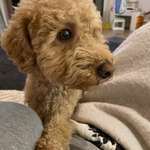 Ersteller:in Pamela Profilbild