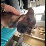 Ersteller:in lucy Profilbild