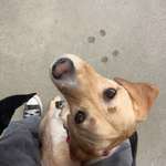 Ersteller:in Paula Profilbild