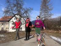 14 Monate alte Hündin verliert 1kg!-Beitrag-Bild