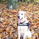 Ersteller:in Harald Profilbild