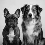 Ersteller:in Eszter Profilbild