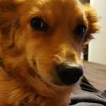 Ersteller:in Nicole Profilbild