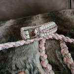 Paracord Halsband Leine Set-Beitrag-Bild