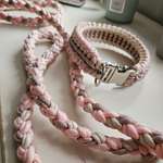 Paracord Halsband Leine Set-Beitrag-Bild