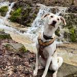 Ersteller:in Sabine Profilbild