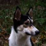 Ersteller:in Anna Profilbild