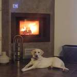 Ersteller:in Zacharoula Profilbild