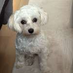 Ersteller:in Melanie Profilbild