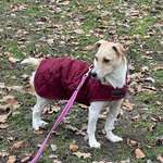 Ersteller:in Nina Profilbild