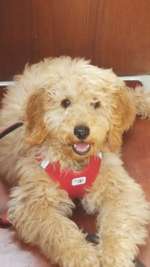 Ersteller:in Nadine Profilbild