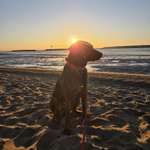 Ersteller:in Corinna Profilbild