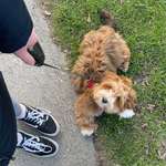 Ersteller:in Tamara Profilbild