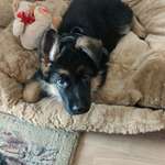 Ersteller:in Raghunath Profilbild