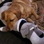 Ersteller:in Bianca Profilbild